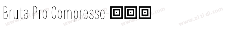 Bruta Pro Compresse字体转换